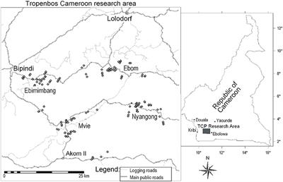 Quantified Soil Evolution Under Shifting Agriculture in Southern Cameroon